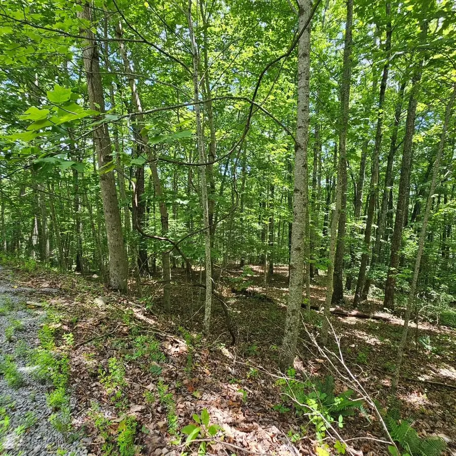 555 Oak Leaf Lane, Dunlap, TN 37327 - #2