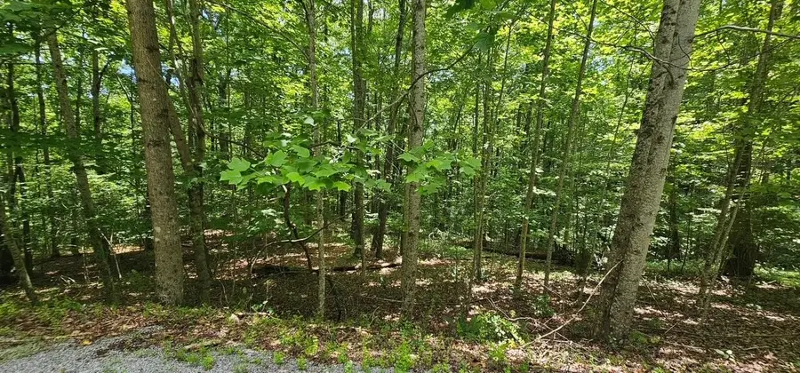 555 Oak Leaf Lane, Dunlap, TN 37327 - #3