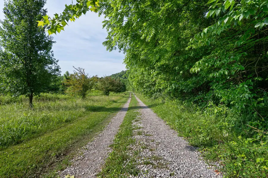5490 Old Mill Creek Rd, Nunnelly, TN 37137 - #3