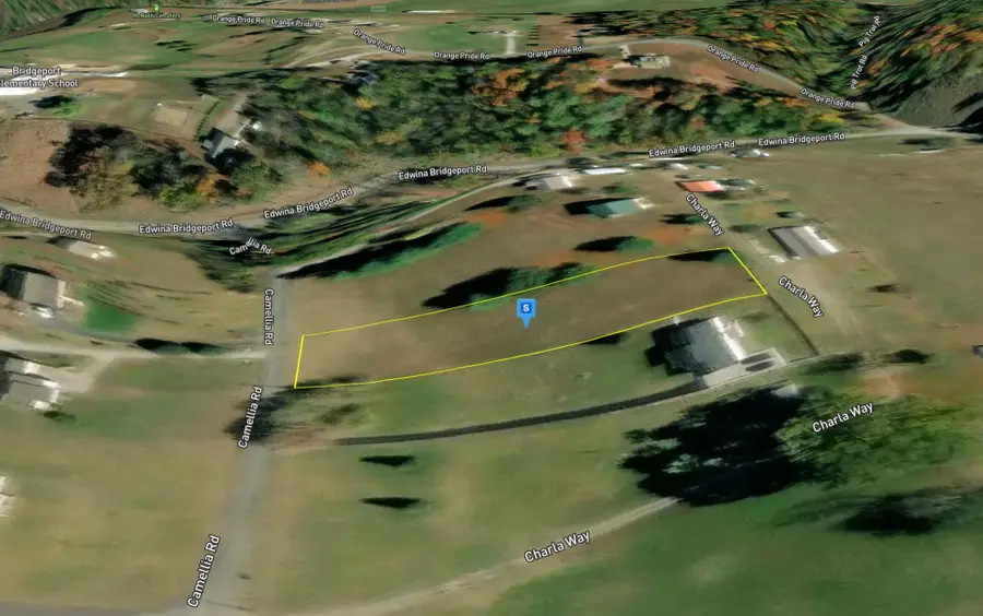 1370 Camellia Rd, Newport, TN 37821 - #3