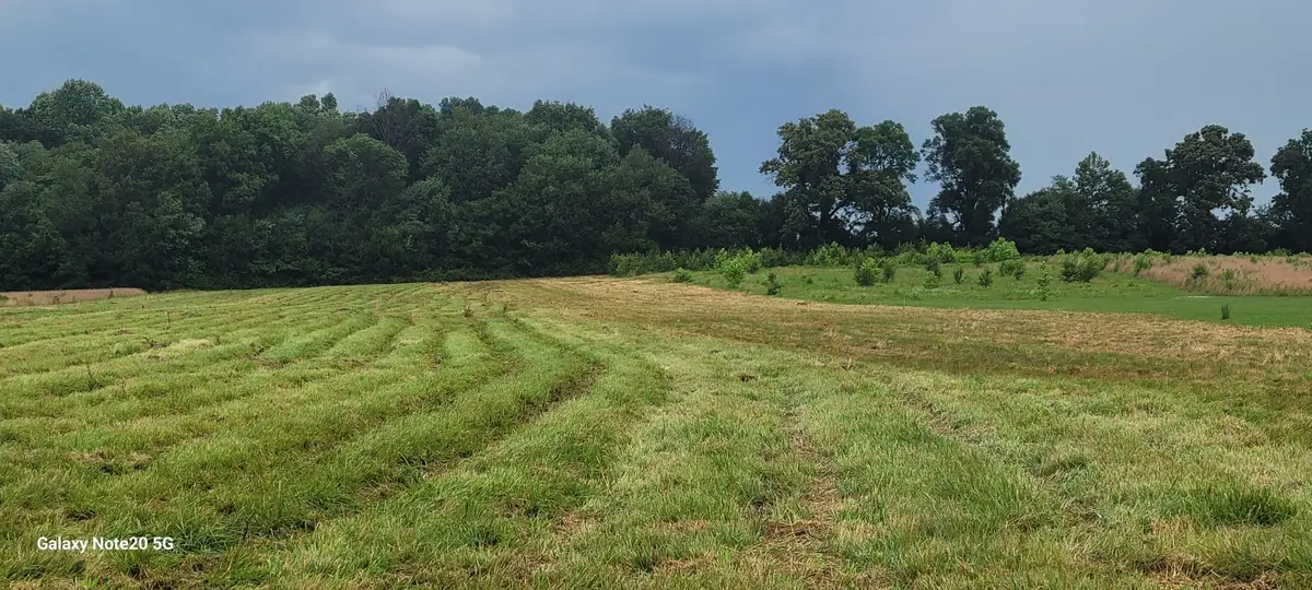 2 Shady Grove Rd, Morrison, TN 37357 - #1