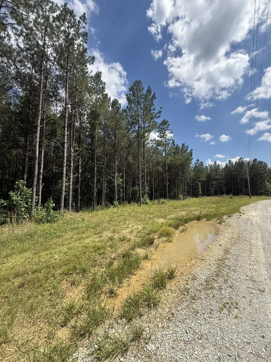 251 Fox Ridge Rd, Hohenwald, TN 38462 - #2