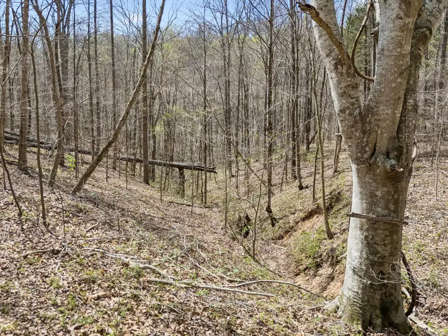 0 Old Highway 31e, Westmoreland, TN 37186 - #2