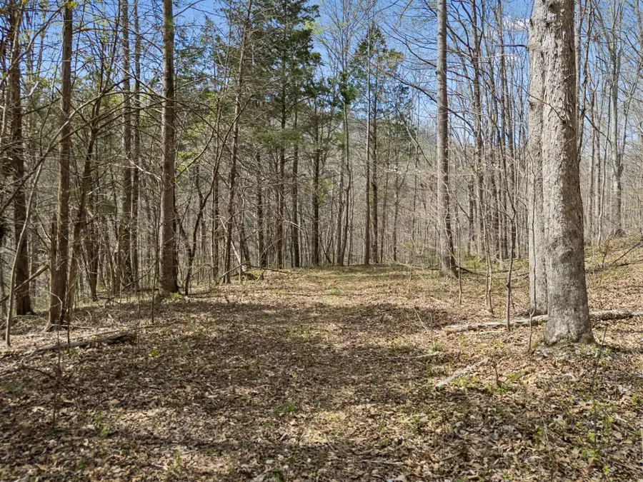 0 Old Highway 31e, Westmoreland, TN 37186 - #3