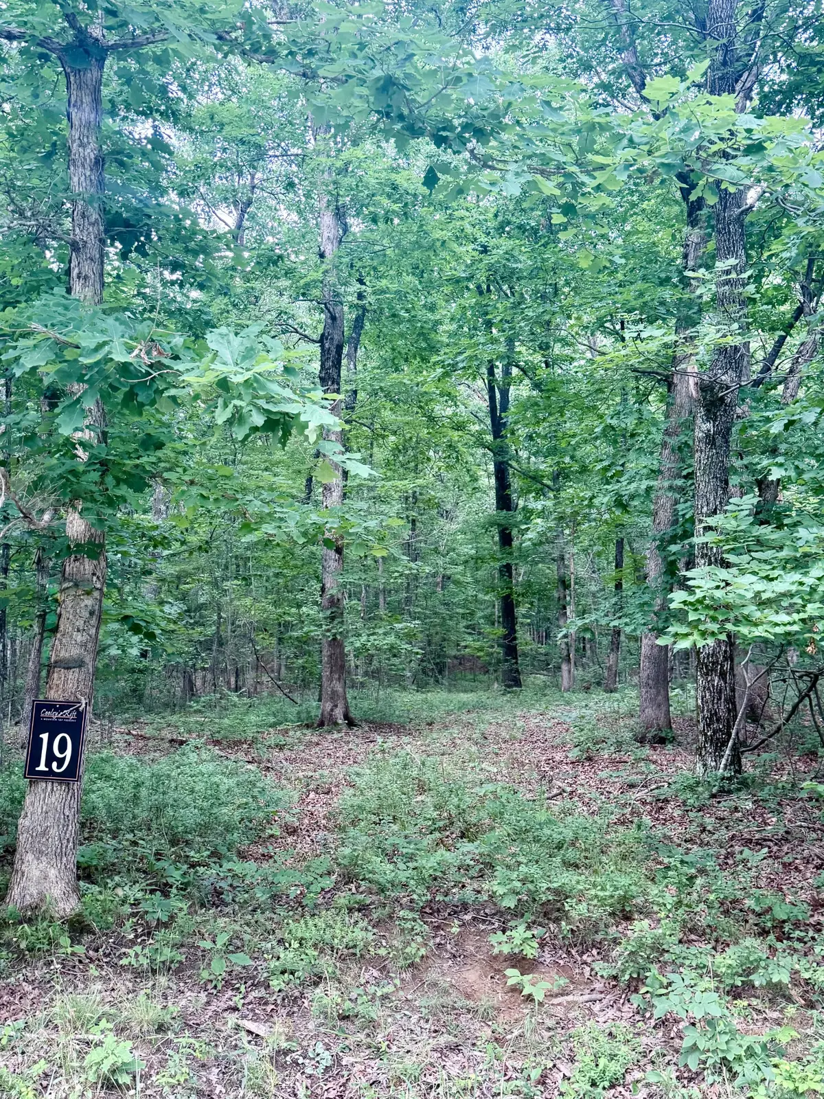 0 Deep Woods Road, Sewanee, TN 37375 - #1