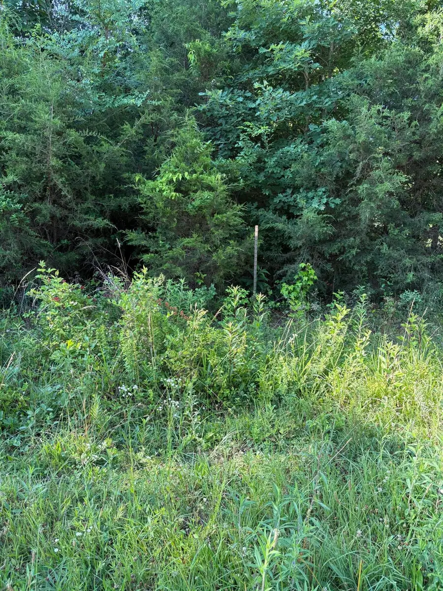 6 Saffles Lane, Madisonville, TN 37354 - #3