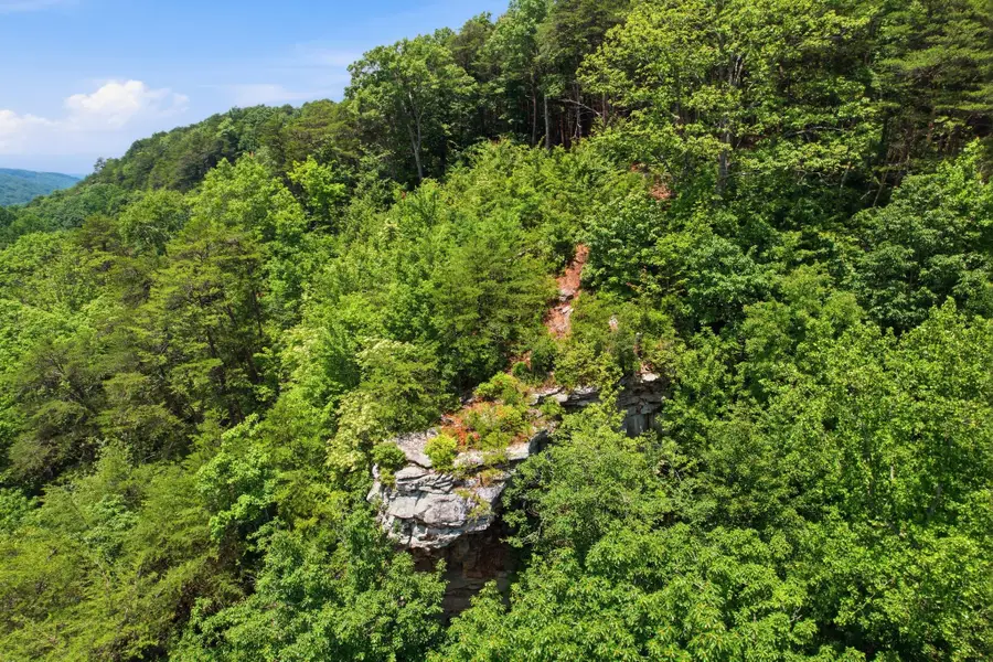 321 Timberwood Trce, Monteagle, TN 37356 - #3