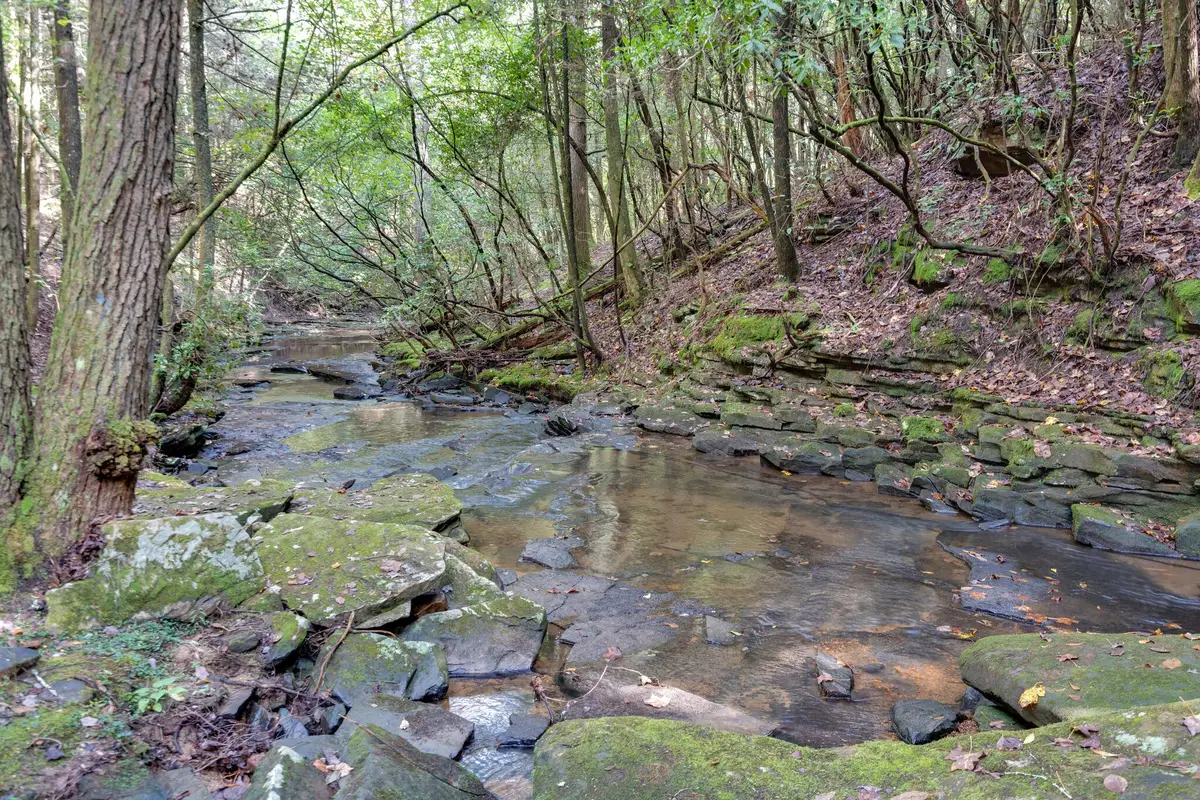 308 Timberwood Trc, Monteagle, TN 37356 - #1