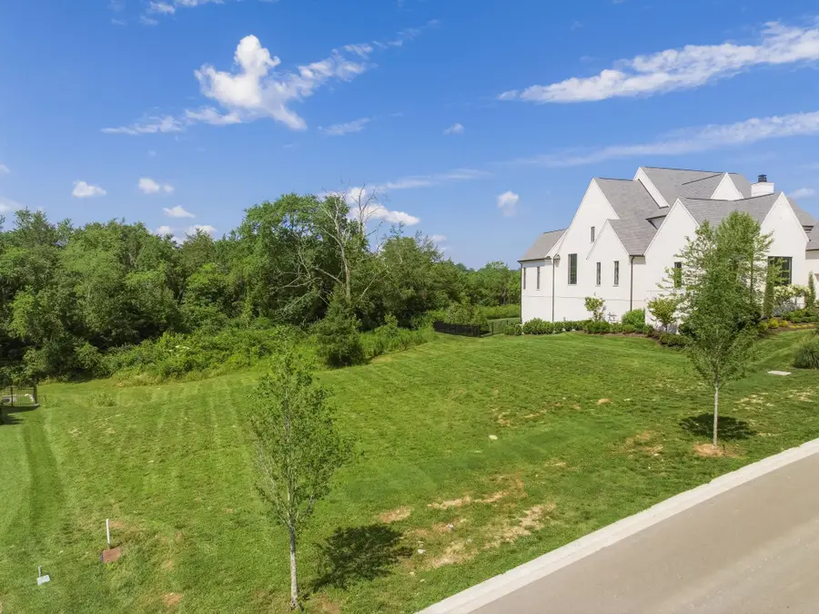 9113 Sawtooth Ln, College Grove, TN 37046 - #3