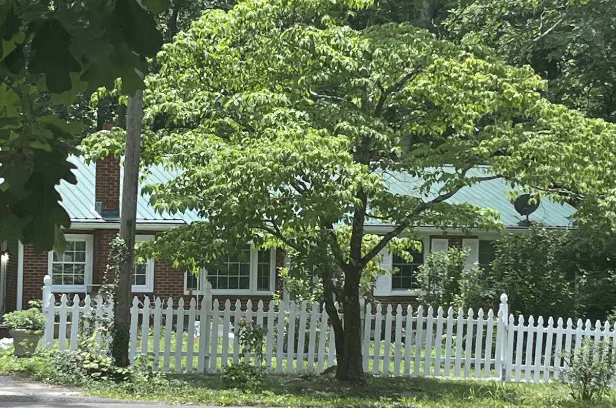 5849 Bending Chestnut Rd, Franklin, TN 37064 - #1