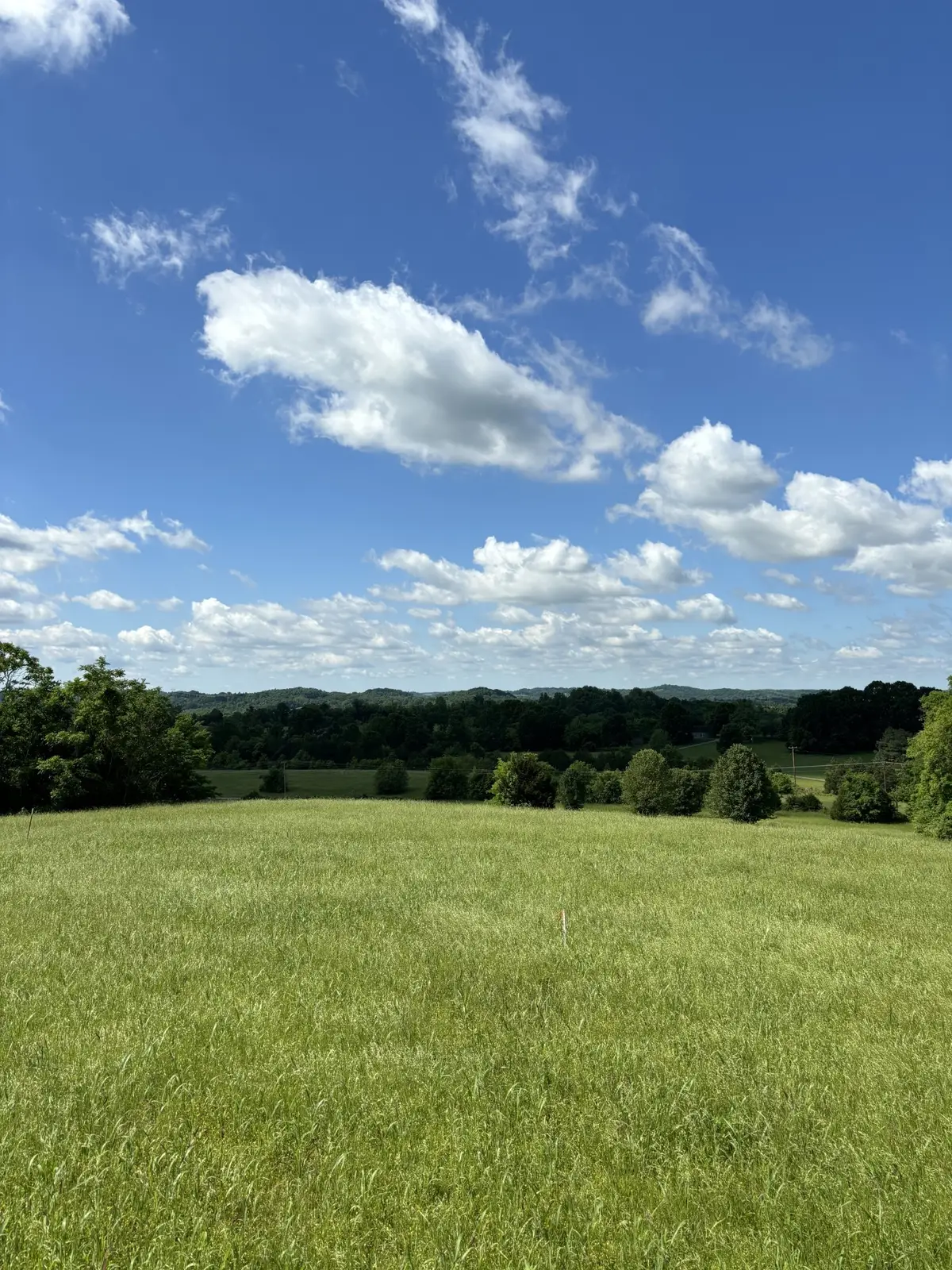 1065 Bugscuffle Road, Wartrace, TN 37183 - #1