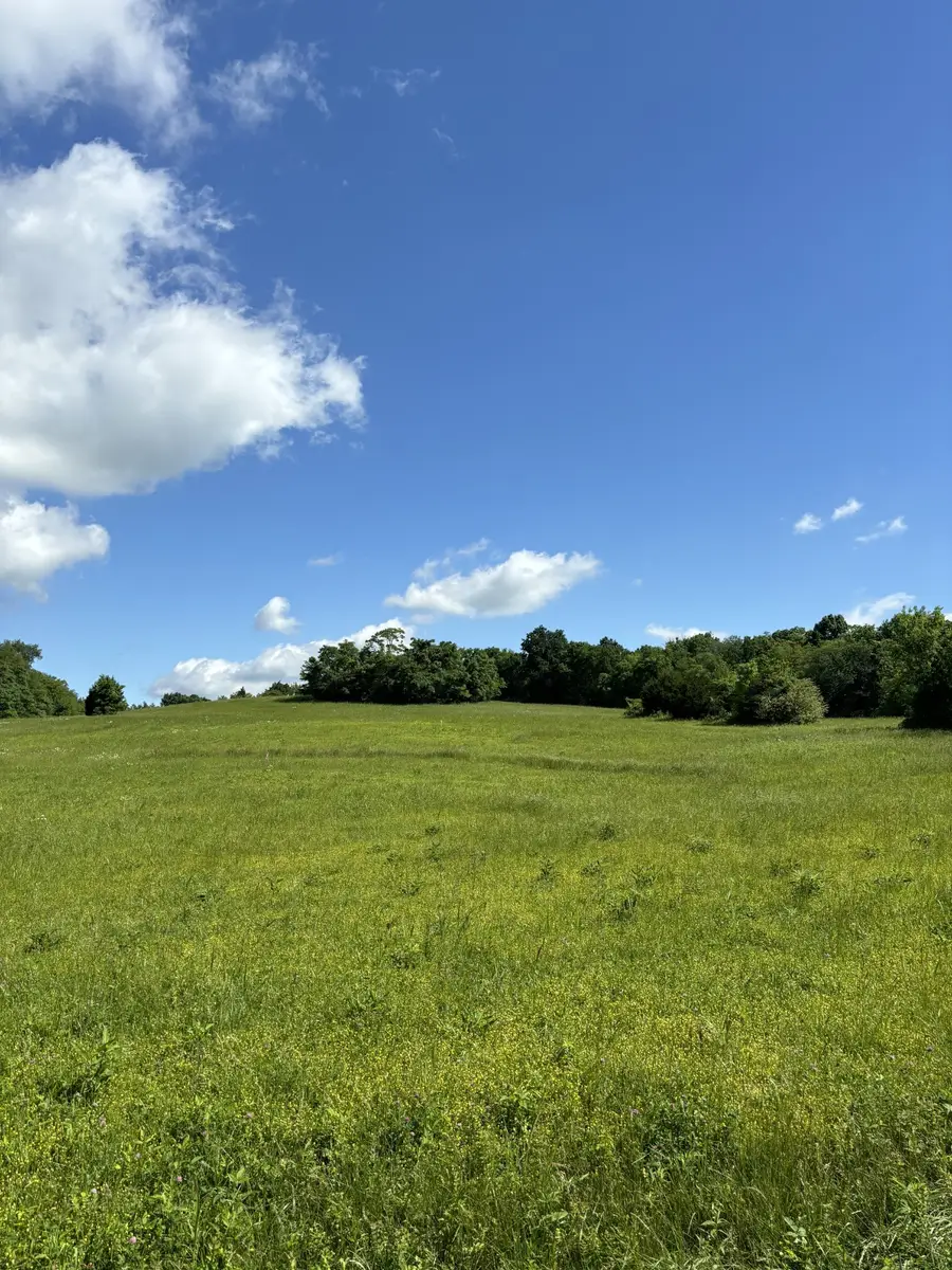 1065 Bugscuffle Road, Wartrace, TN 37183 - #2