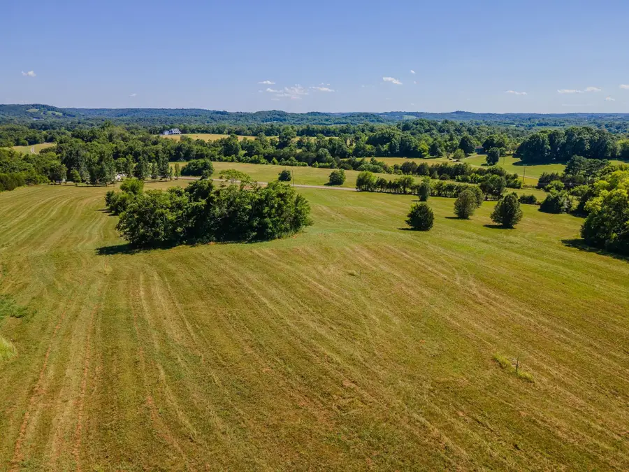 1065 Bugscuffle Road, Wartrace, TN 37183 - #3