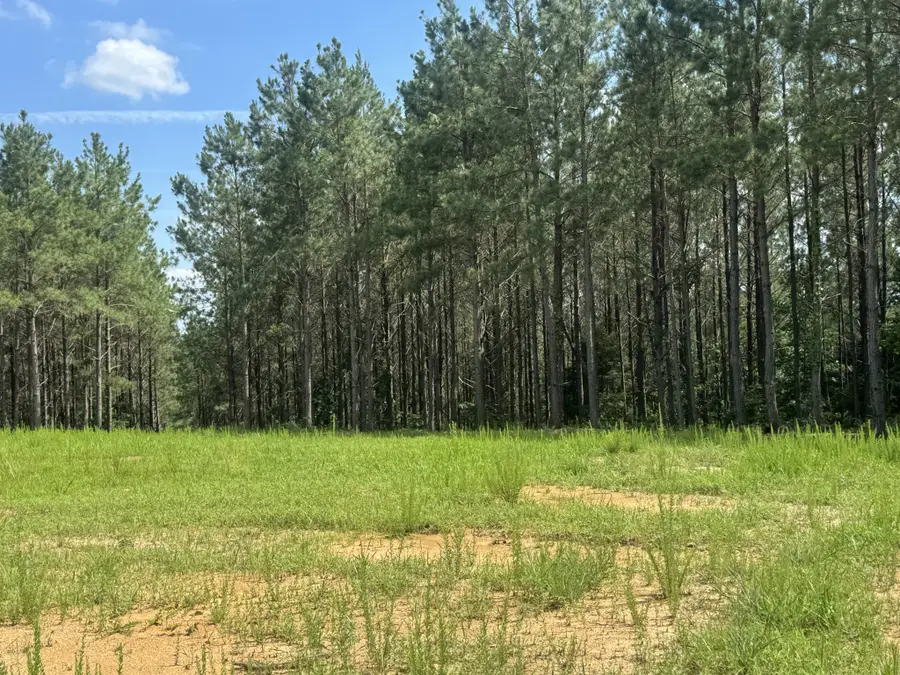 0 Rustic Pines Rd, Dover, TN 37058 - #3