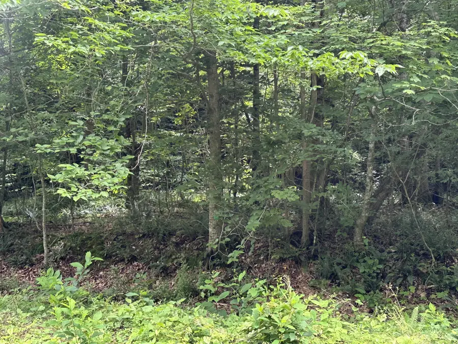 2812 Union Hill Rd, Joelton, TN 37080 - #3