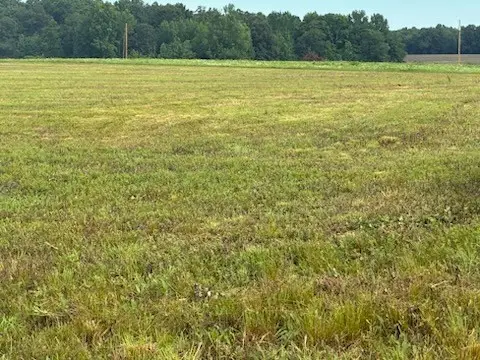0 Rushing Road, Ethridge, TN 38456
