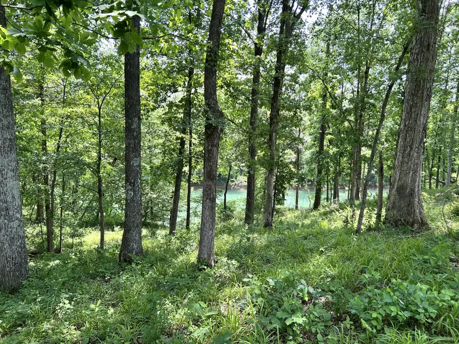 0 Anchor Bend Dr, Rock Island, TN 38581 - #3