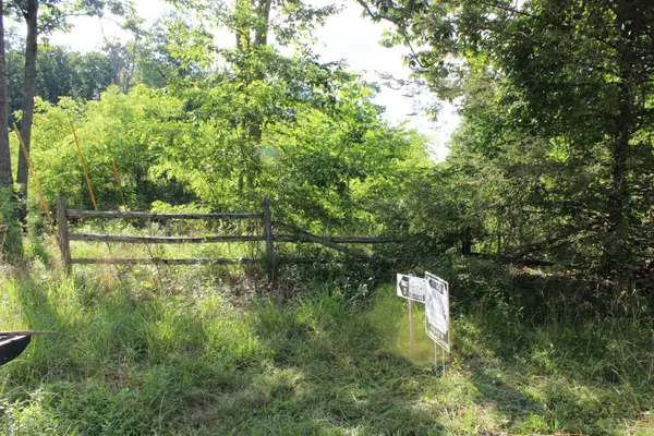 0 Long Mtn Rd, Mc Minnville, TN 37110