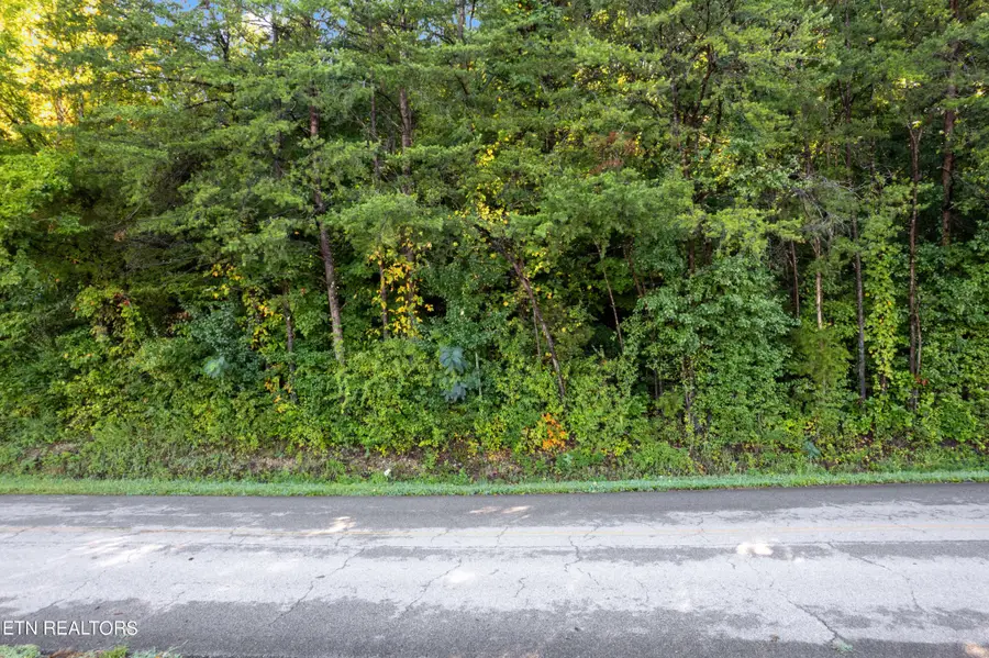 0 Delozier Lane, Rockwood, TN 37854 - #2