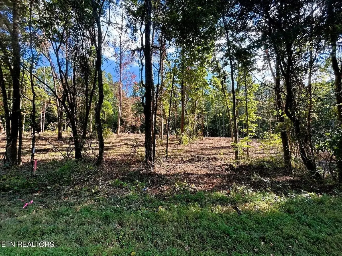 55 Pleasant Hill Road, Ten Mile, TN 37880 - #1