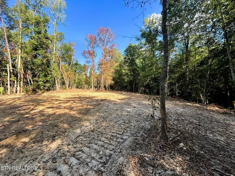 55 Pleasant Hill Road, Ten Mile, TN 37880 - #2