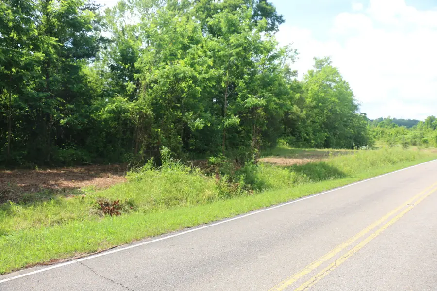 1 N Nopone Valley Road, Decatur, TN 37322 - #2