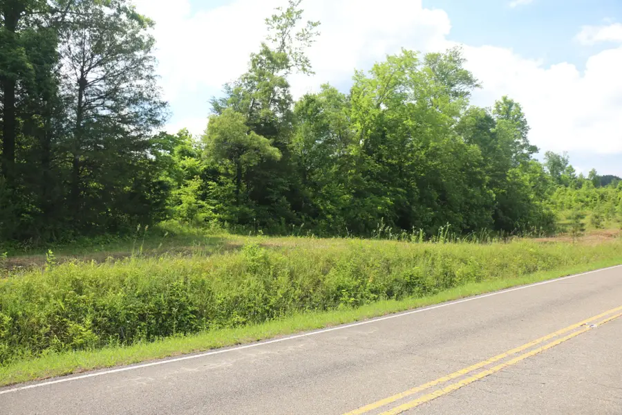 1 N Nopone Valley Road, Decatur, TN 37322 - #3