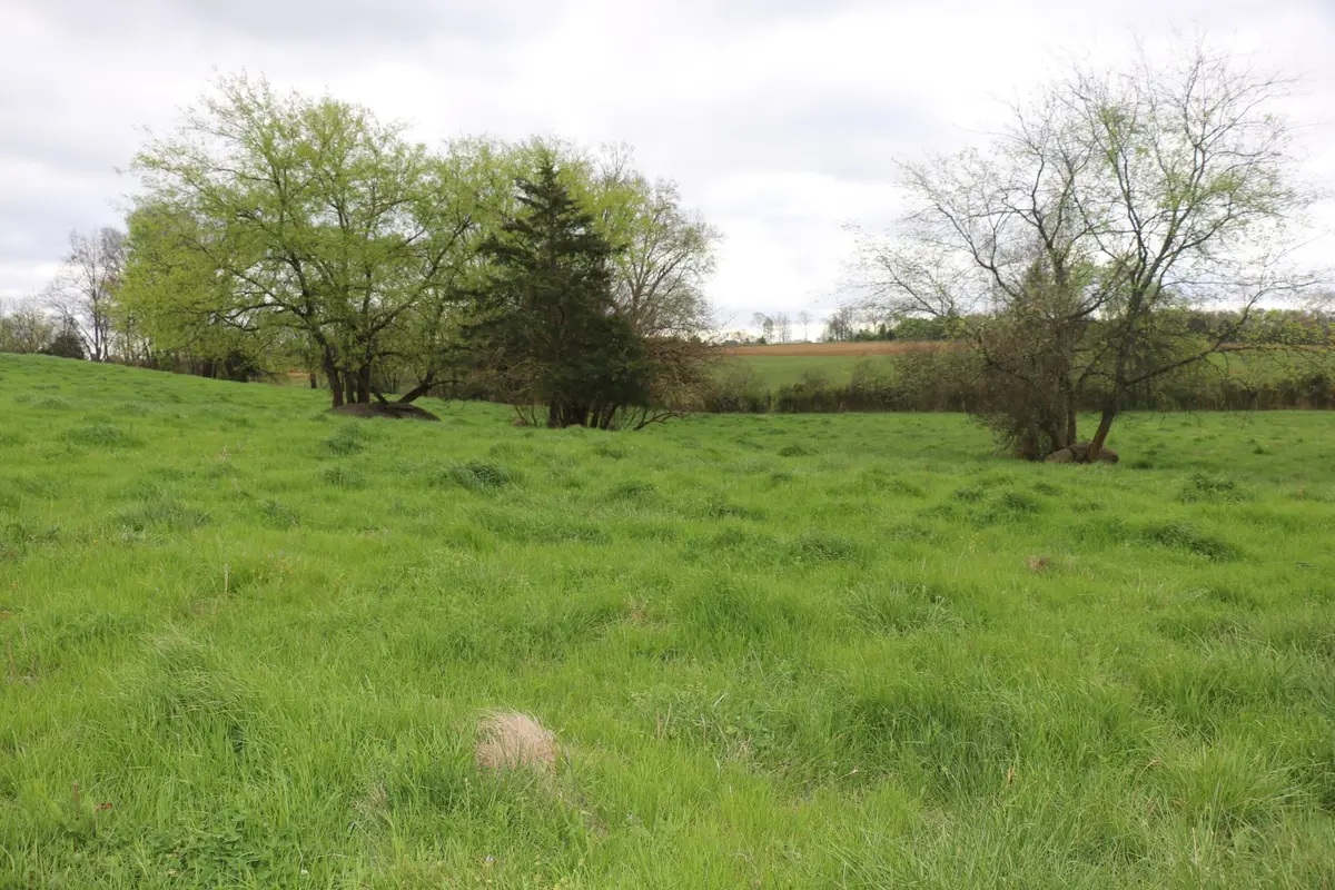 551 Campground Road, Madisonville, TN 37354 - #1