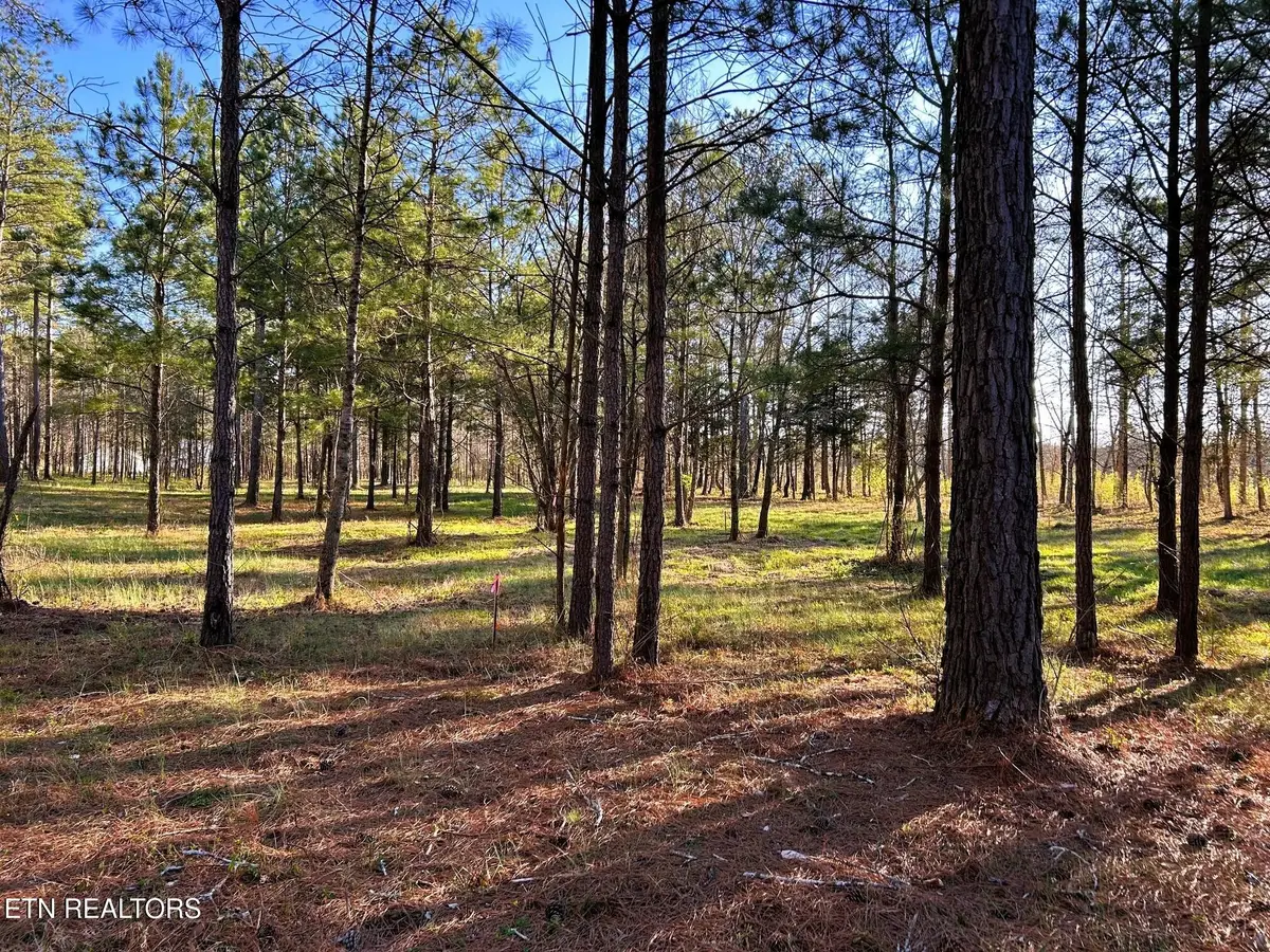 4 County Road 950, Calhoun, TN 37309 - #1