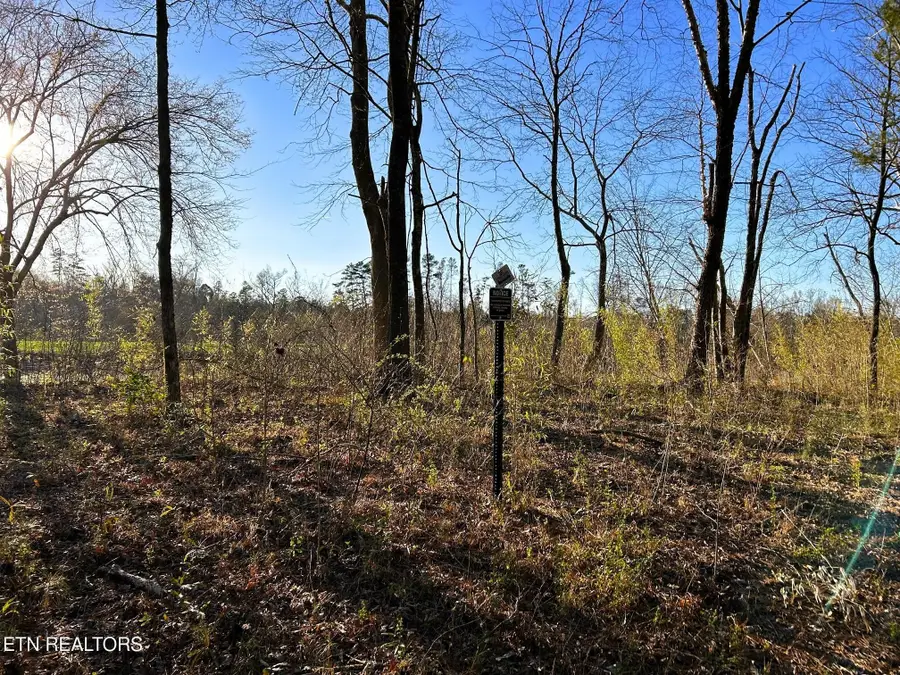 4 County Road 950, Calhoun, TN 37309 - #2