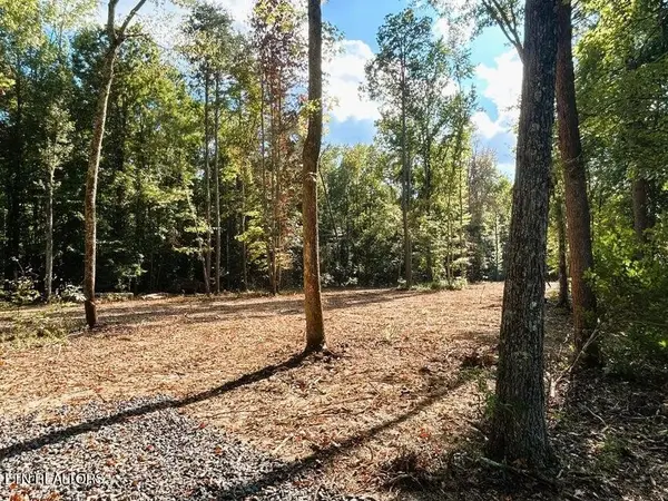 3 Pleasant Hill Road, Ten Mile, TN 37880