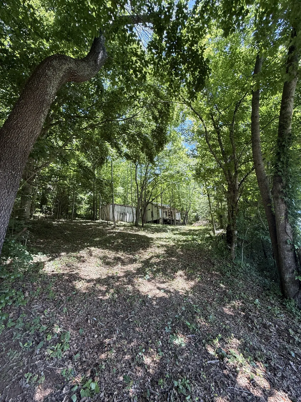 3585 Indian Creek Rd, Pulaski, TN 38478 - #1