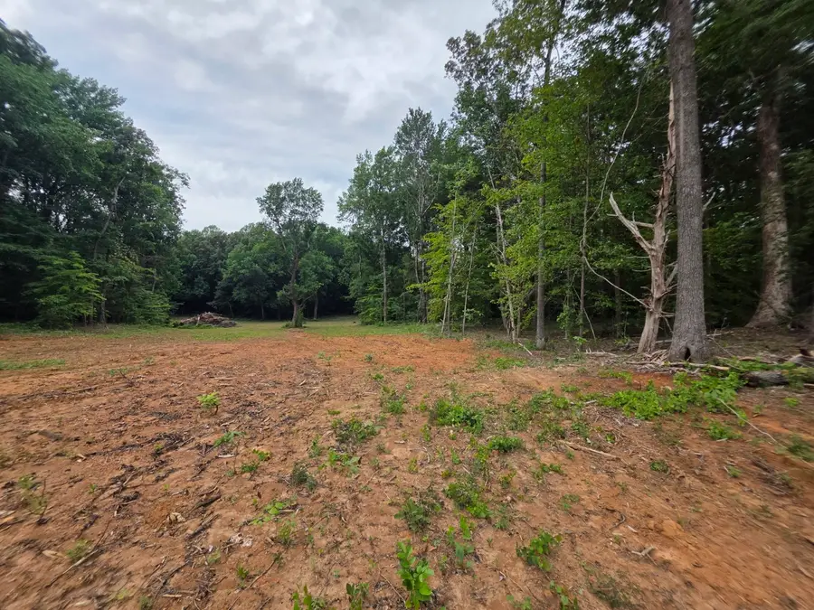 13 Shellsford Rd, McMinnville, TN 37110 - #2