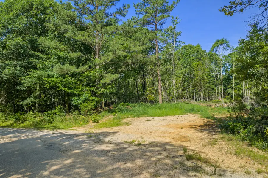 0 Rockport Mcillwain Rd, Holladay, TN 38341 - #3