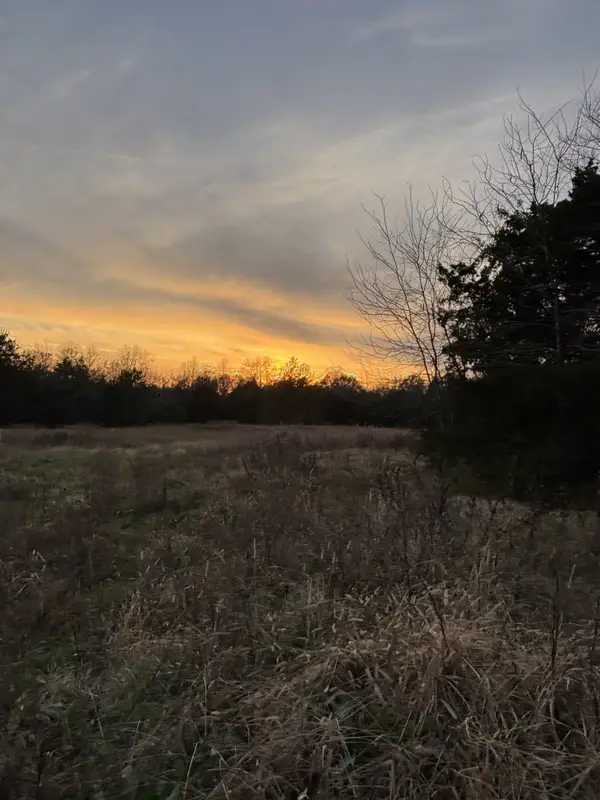 0 Laws Hill Road, Lewisburg, TN 37091
