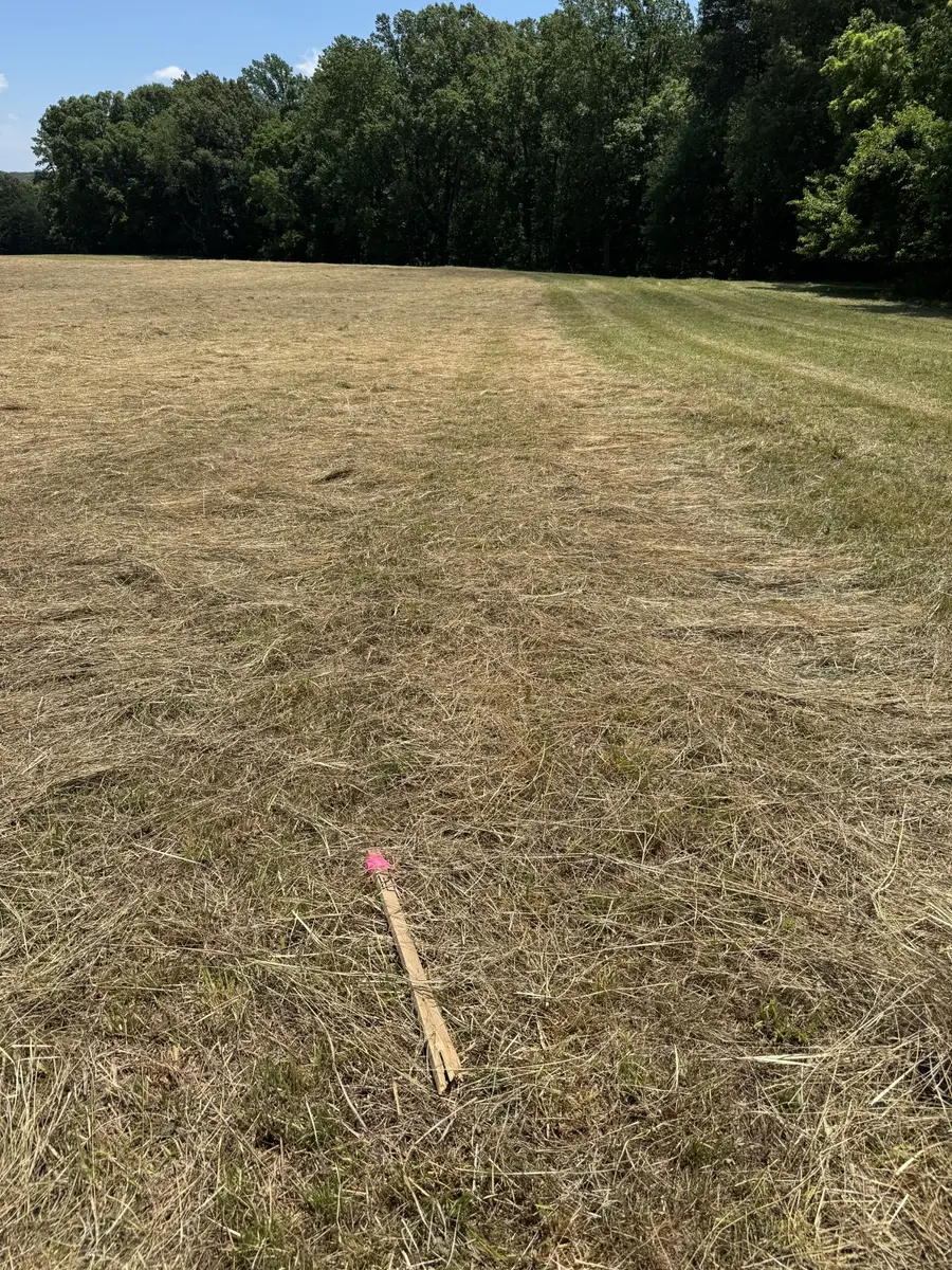 0 Horseshoe Rd, Cross Plains, TN 37049 - #2