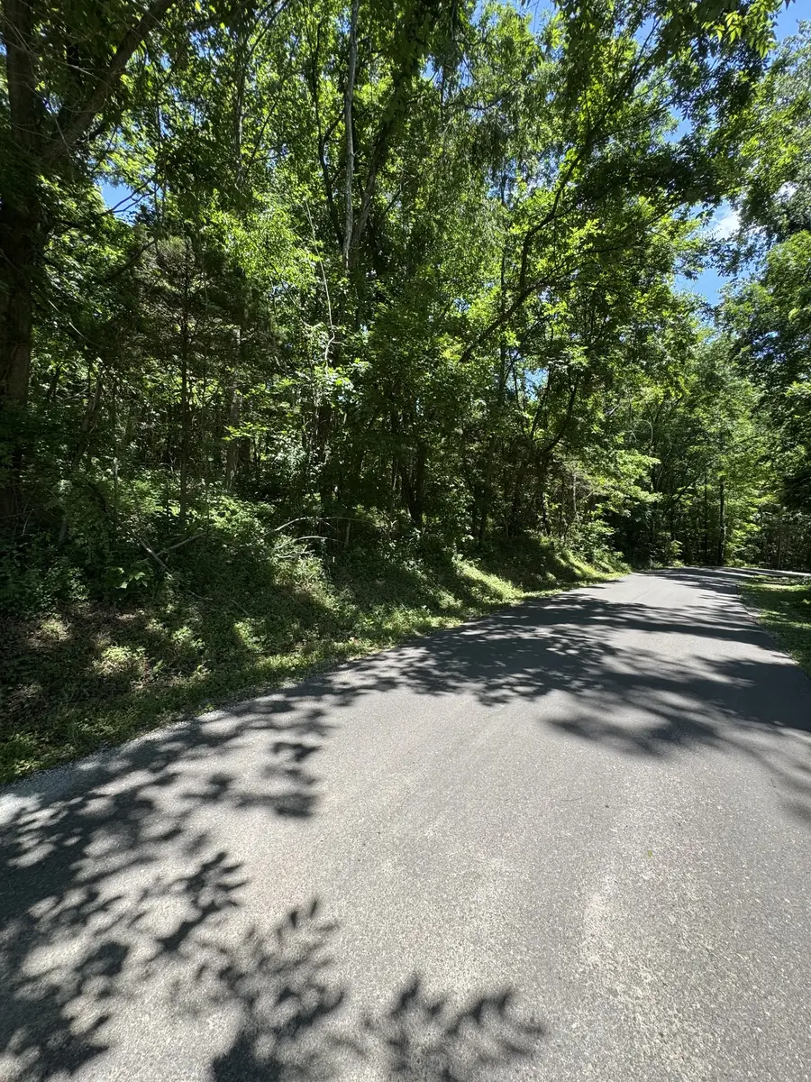 0 Horseshoe Rd, Cross Plains, TN 37049 - #3
