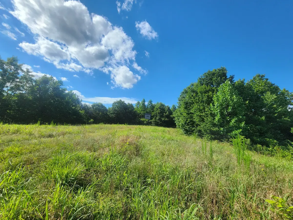 0 Sinking Creek Rd, Linden, TN 37096 - #1