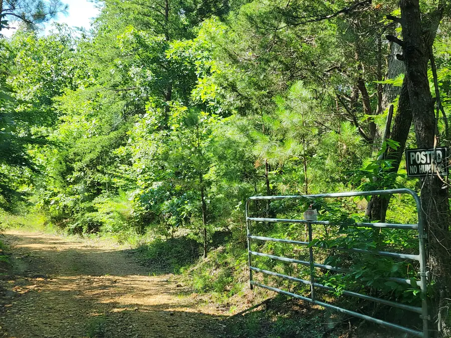 0 Sinking Creek Rd, Linden, TN 37096 - #2