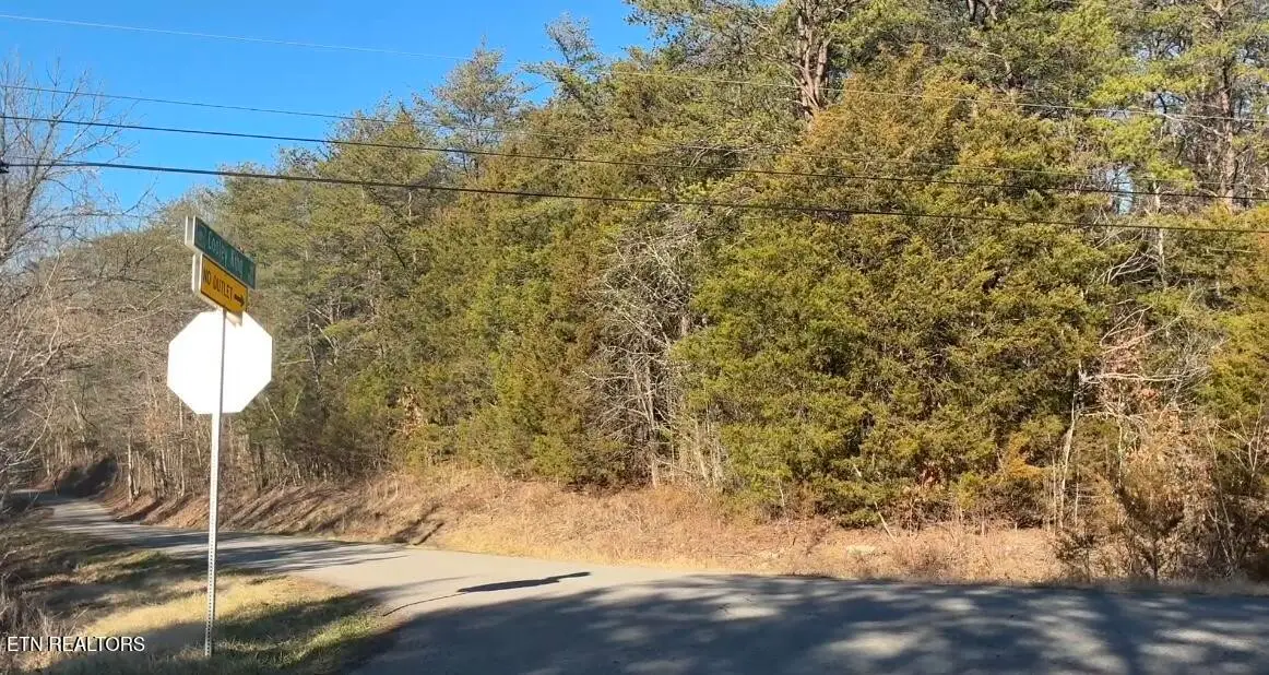 0 Alex Bales Rd, Kodak, TN 37764 - #1