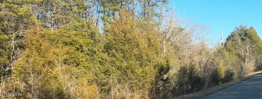 0 Alex Bales Rd, Kodak, TN 37764 - #2