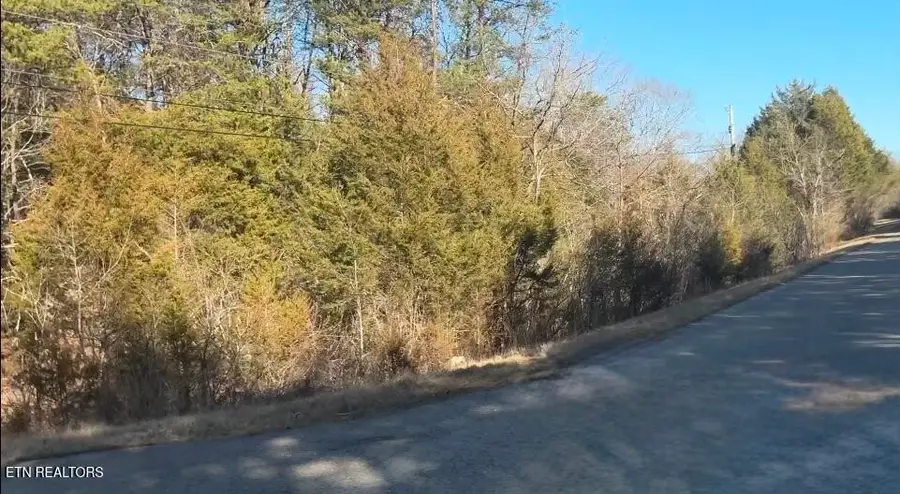 0 Alex Bales Rd, Kodak, TN 37764 - #3