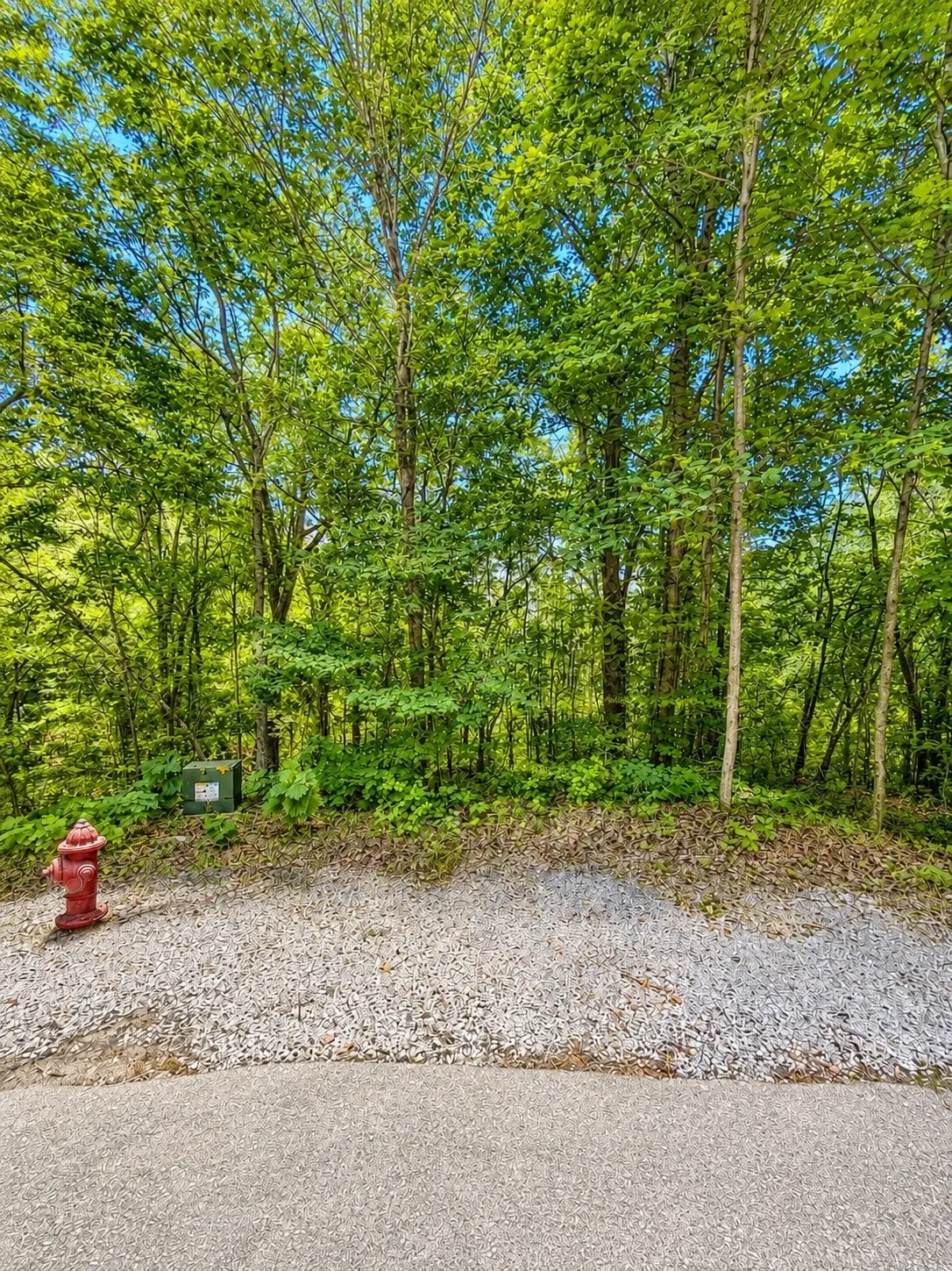 0 Woodcrest Dr, Smithville, TN 37166 - #1