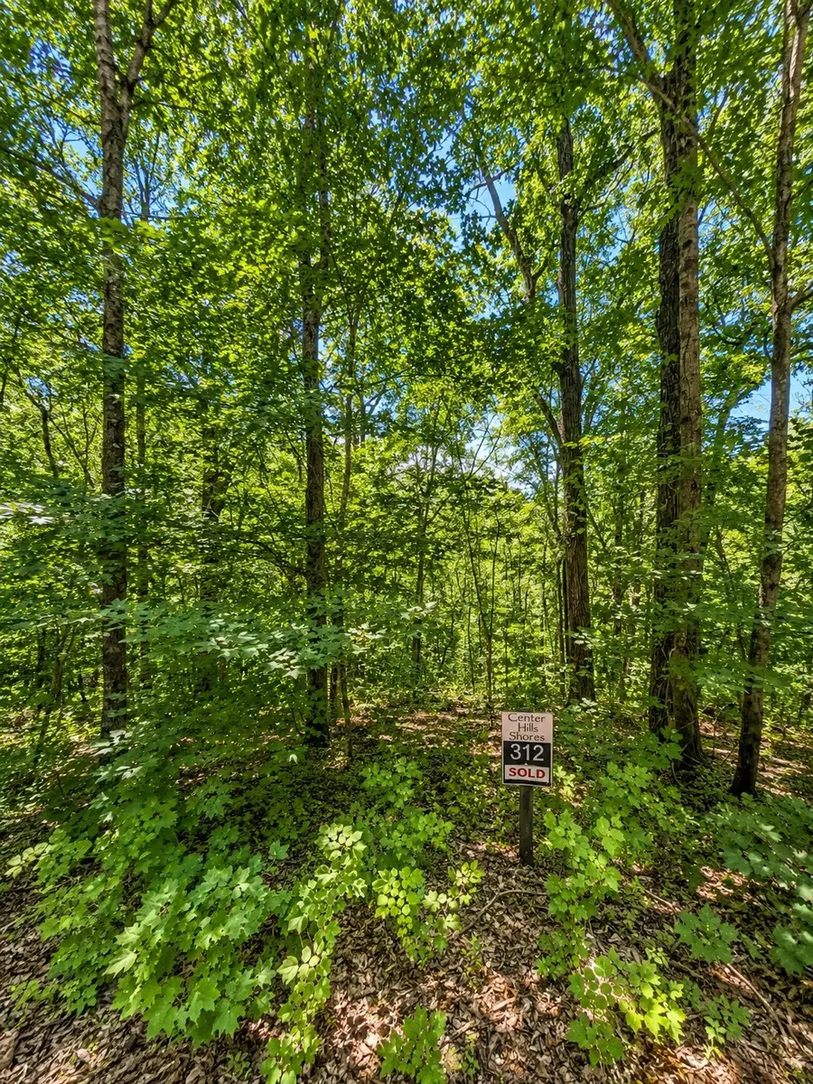 0 Woodcrest Dr, Smithville, TN 37166 - #2