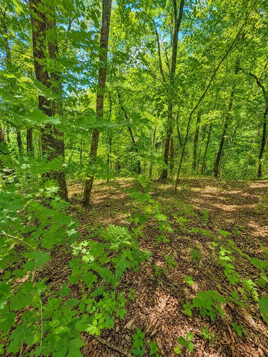 0 Woodcrest Dr, Smithville, TN 37166 - #3