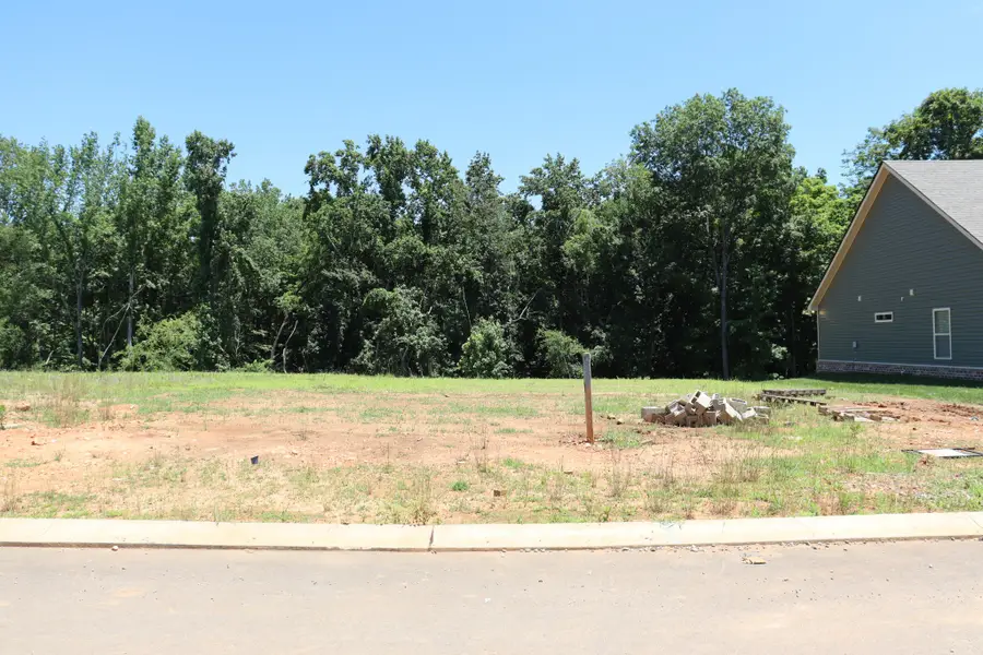597 Willow Park Dr, Clarksville, TN 37043 - #2