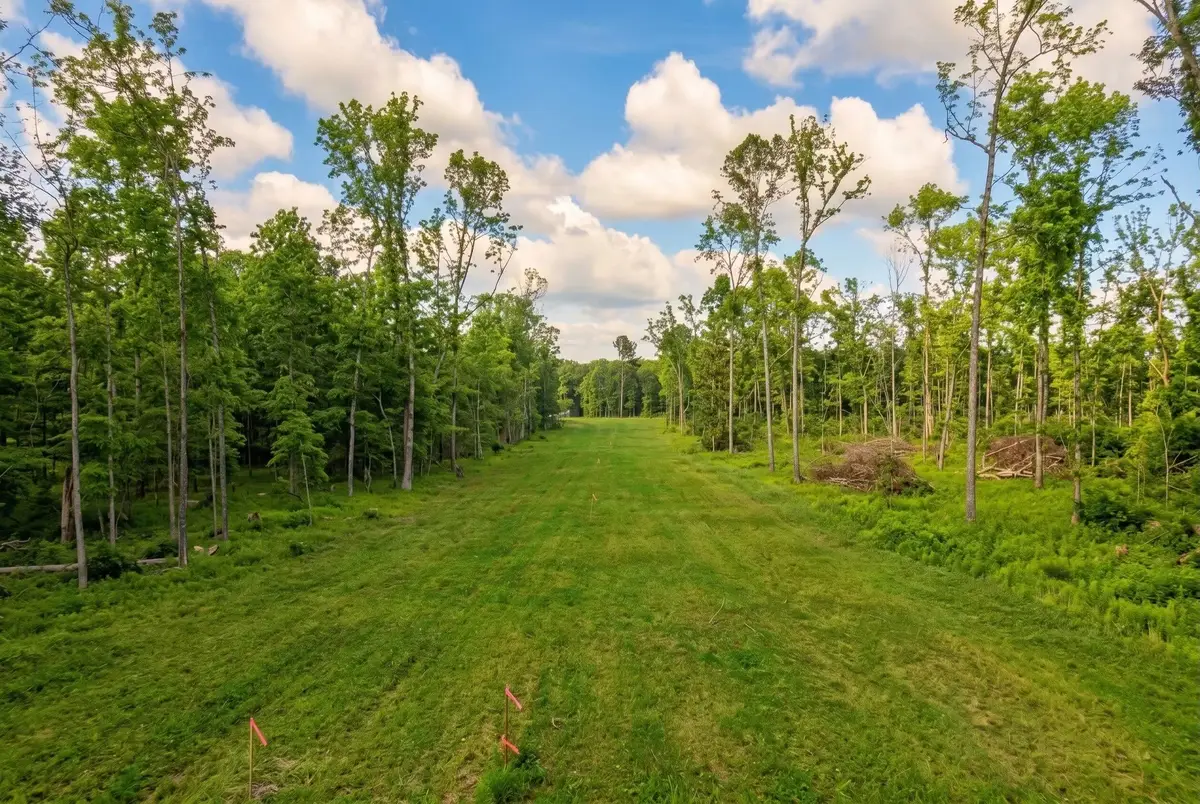 0 Whitaker Rd, Belvidere, TN 37306 - #1