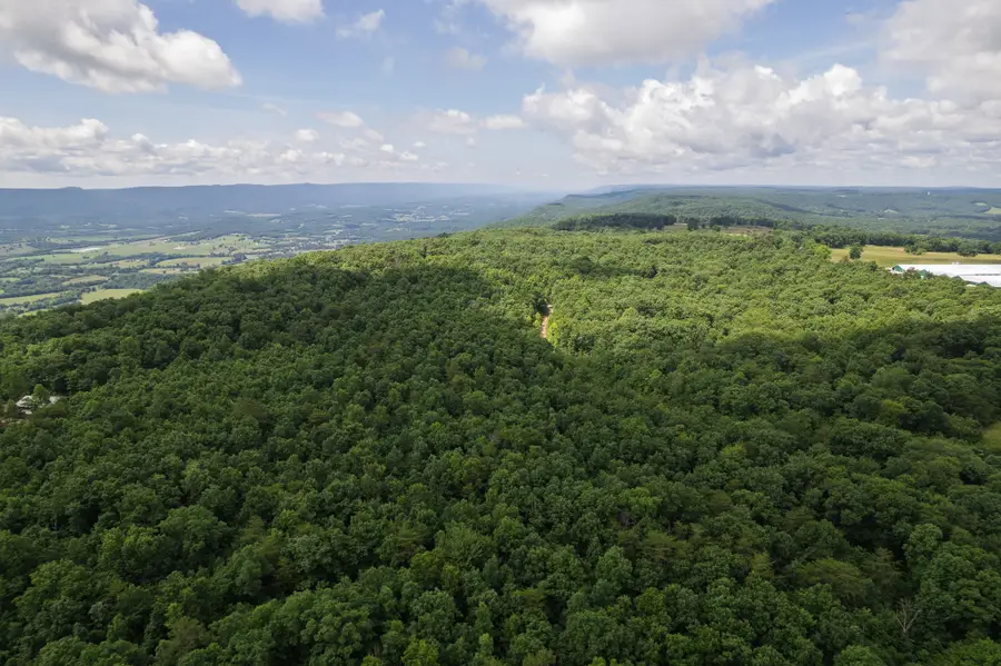 1 Maple Drive, Pikeville, TN 37367 - #3