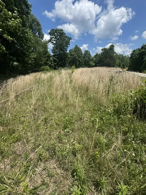 0 Claude Hargis Ln, Crawford, TN 38554 - #2
