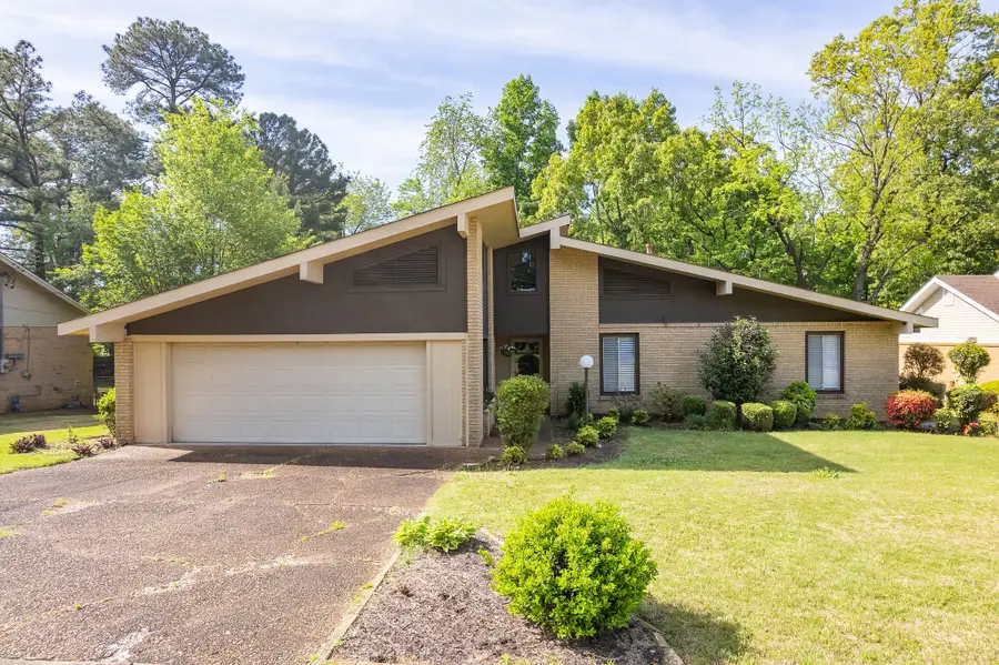 36 Mcdaniel Dr, Jackson, TN 38305 - #3
